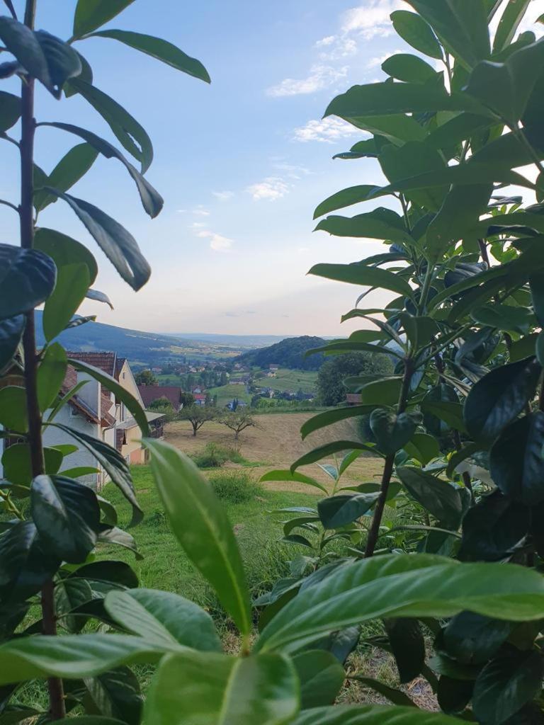 Feriendomizil Schleich Am Steinriegl Appartement Bad Gleichenberg Buitenkant foto